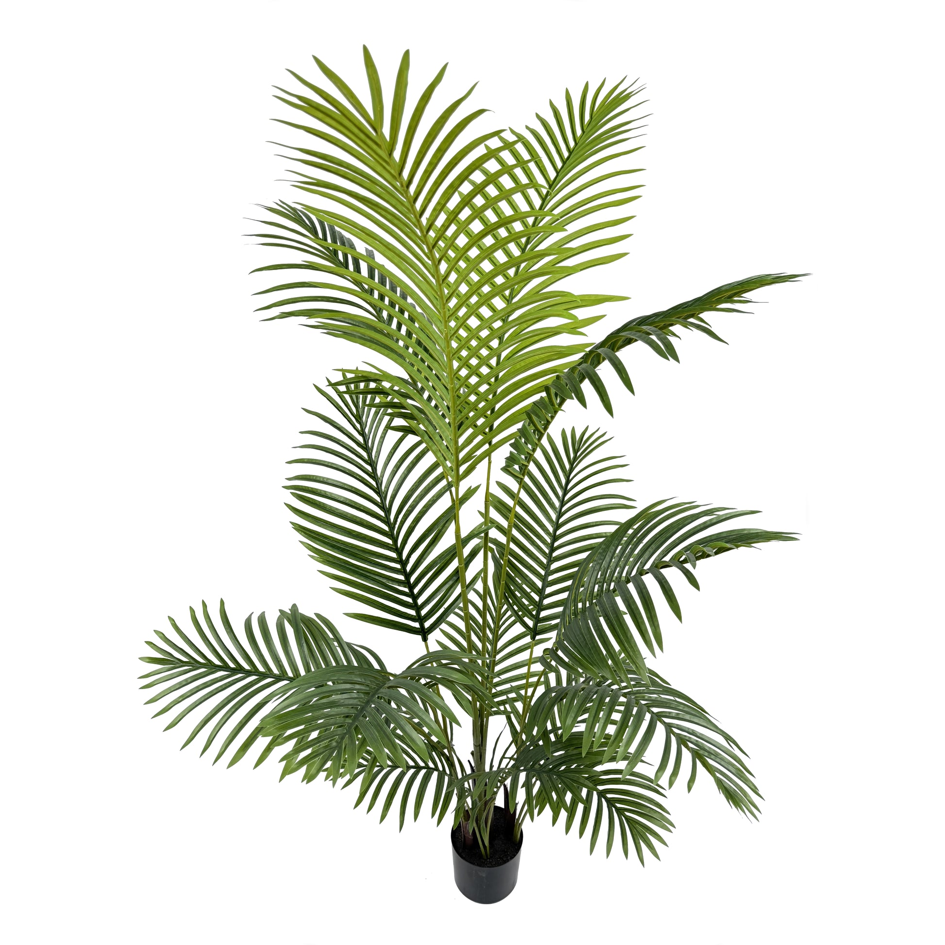 IvoQ Kunstpalm 150 cm-IvoQ