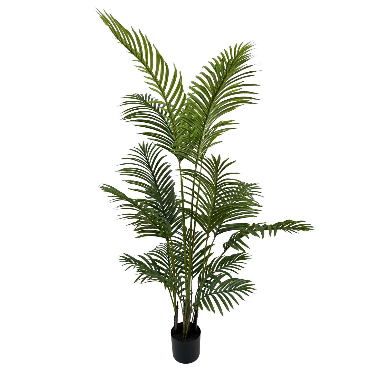 IvoQ Kunstpalm 150 cm-IvoQ