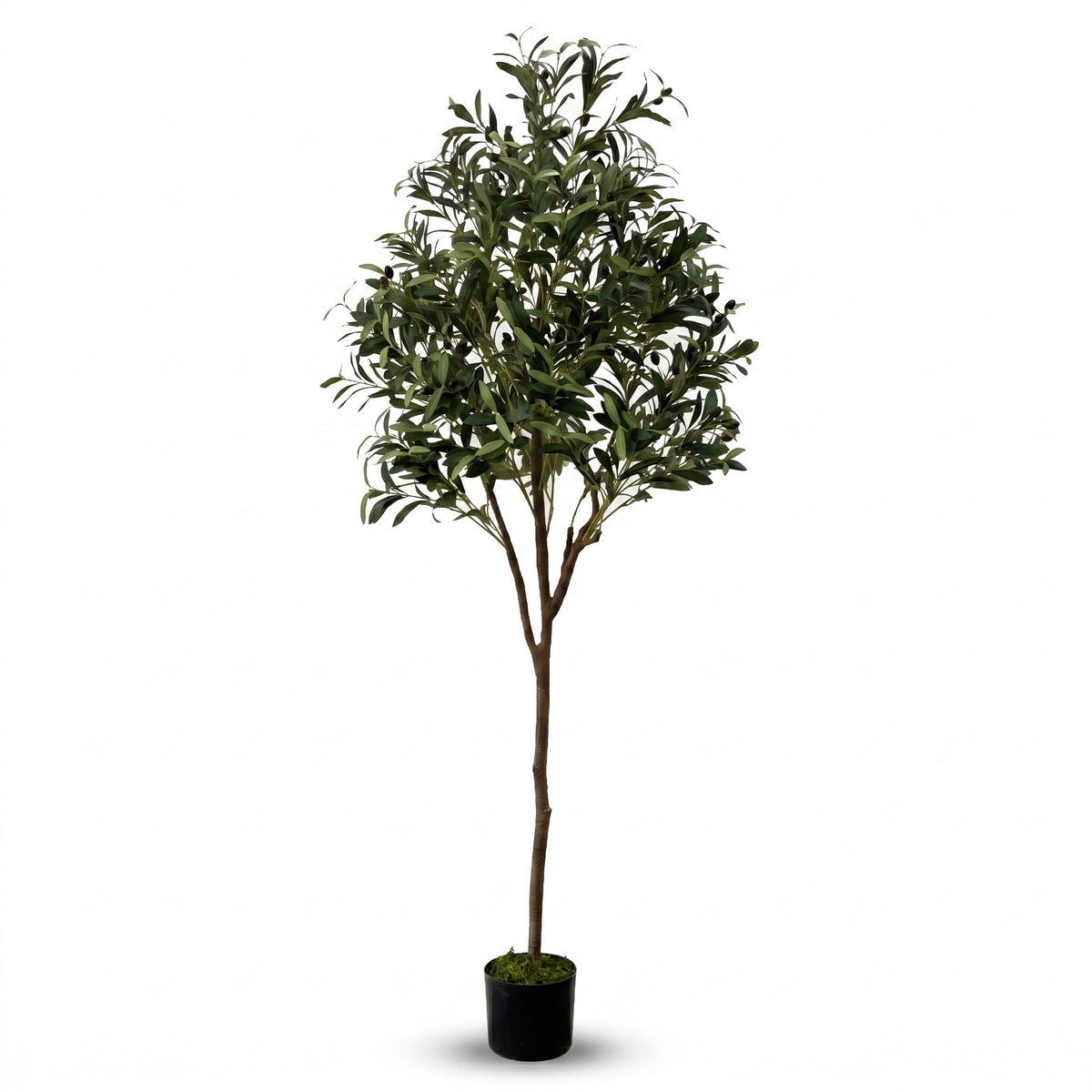 IvoQ Olivier artificiel 180 cm - Plante artificielle réaliste avec pot et olives