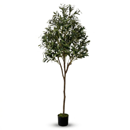 IvoQ Olivier artificiel 180 cm - Plante artificielle réaliste avec pot et olives