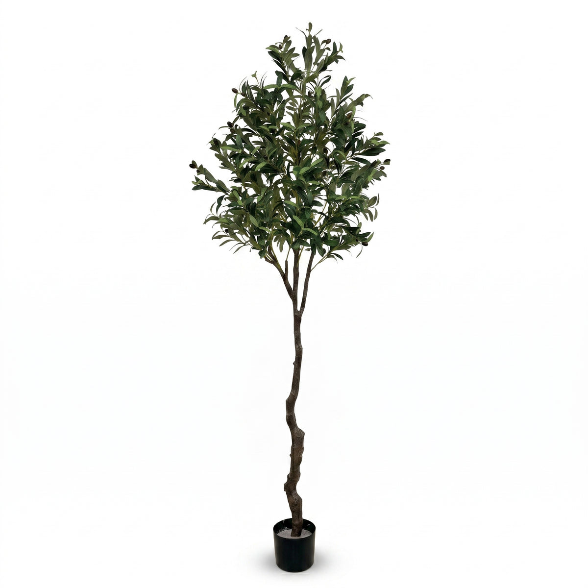 IvoQ Olivier artificiel 210 cm - Plante artificielle XL réaliste avec olives