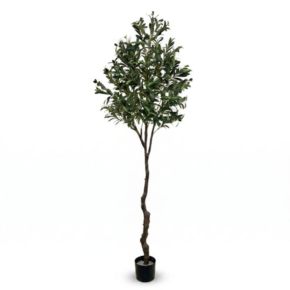 IvoQ Olivier artificiel 210 cm - Plante artificielle XL réaliste avec olives