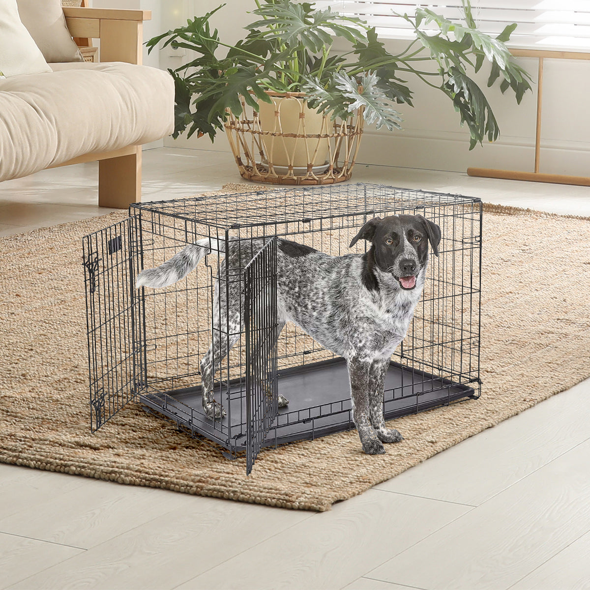 IvoQ Hondenbench XS – Zwart – 44.5×30.5×36.5 cm-IvoQ