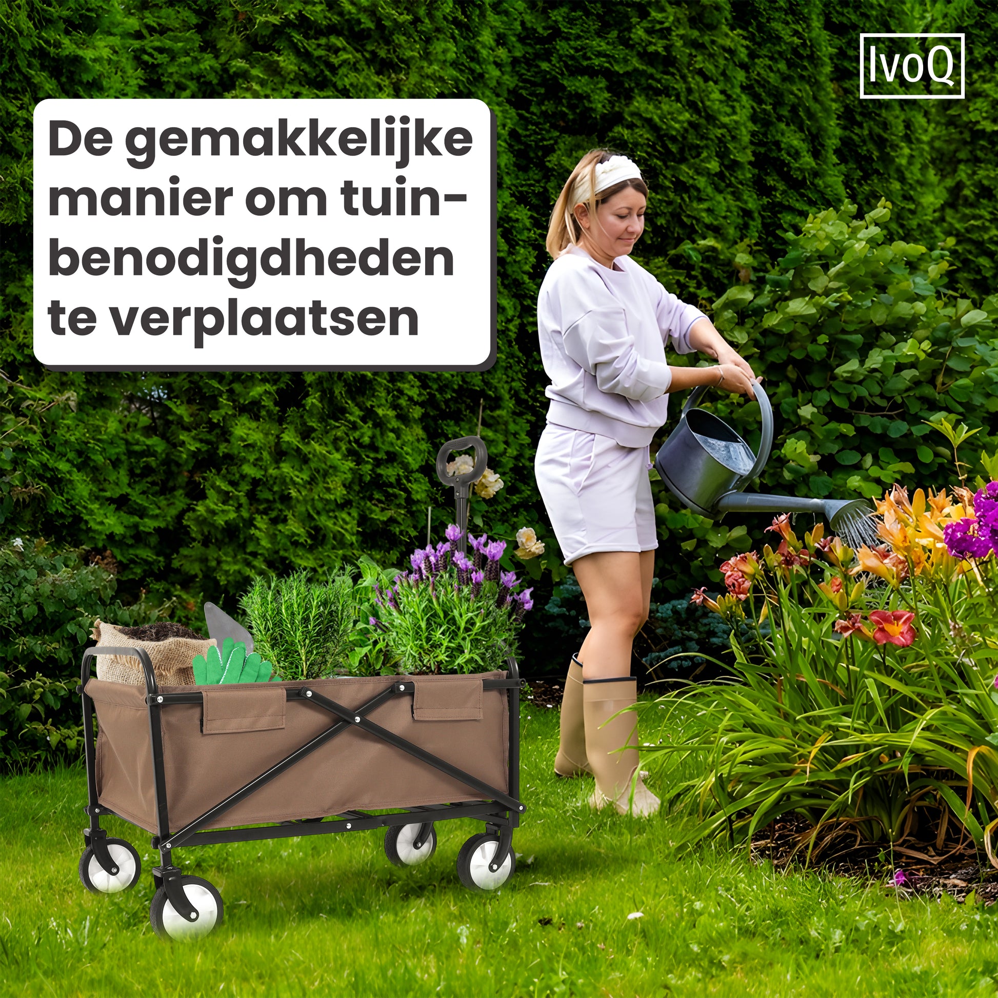 IvoQ Bolderkar Bruin-IvoQ