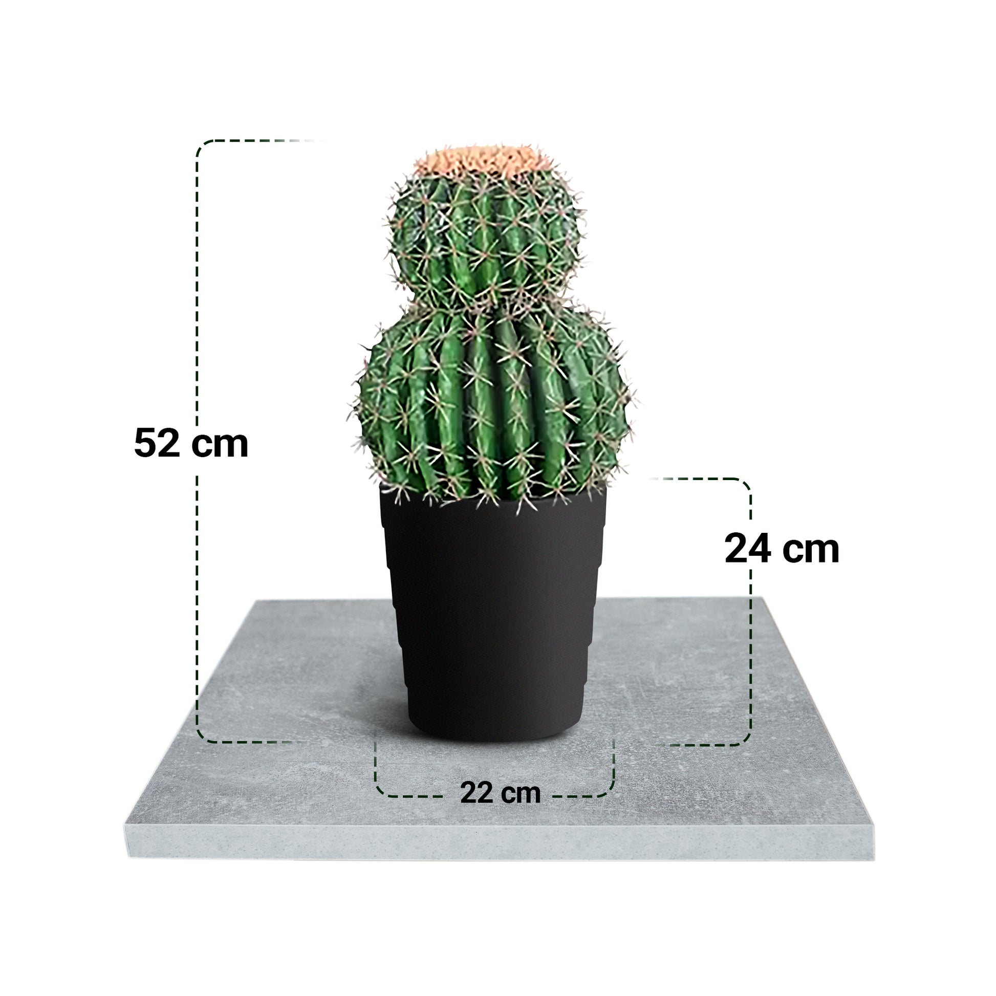IvoQ Kunst Cactus 50 cm-IvoQ
