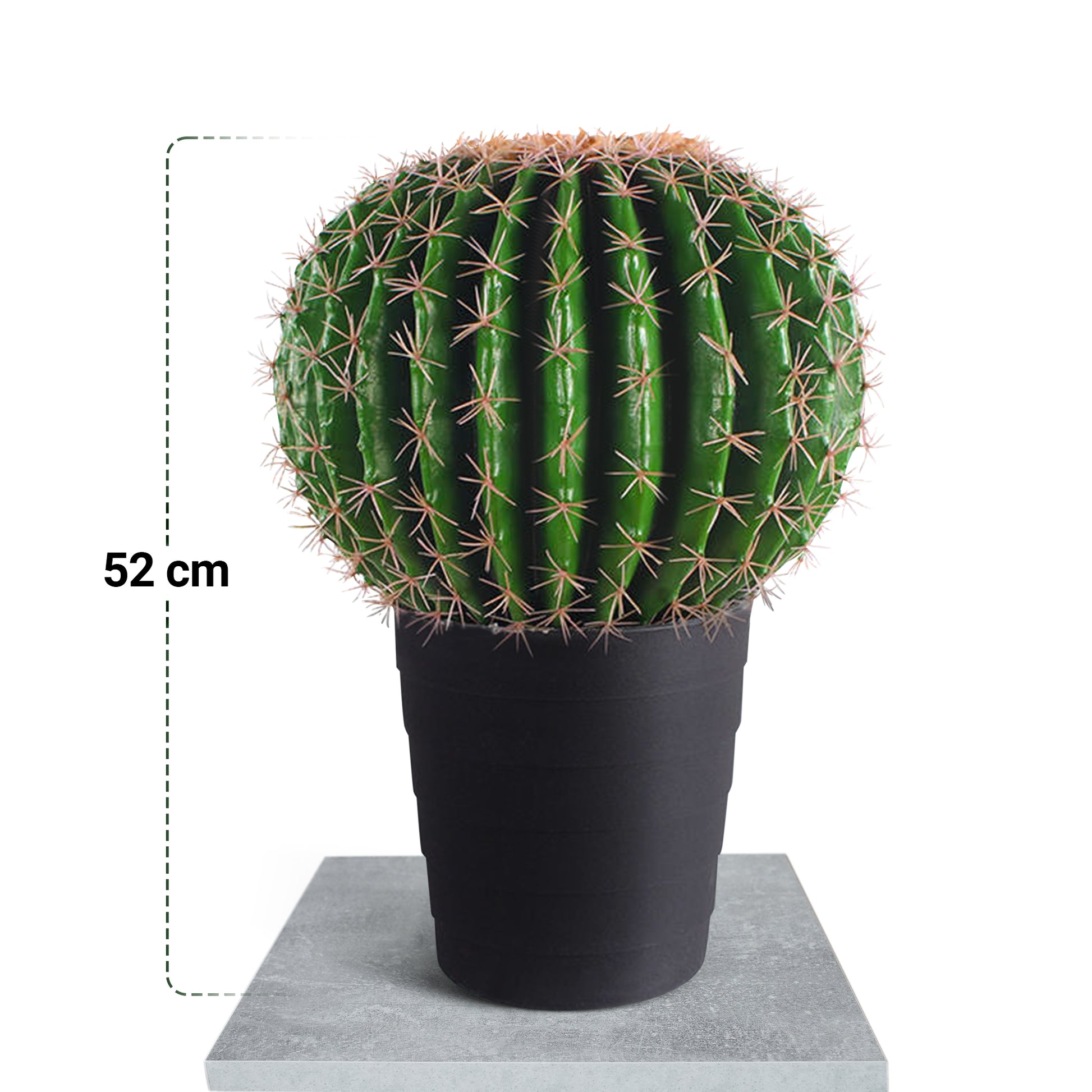 IvoQ Kunst Cactus 50 cm-IvoQ