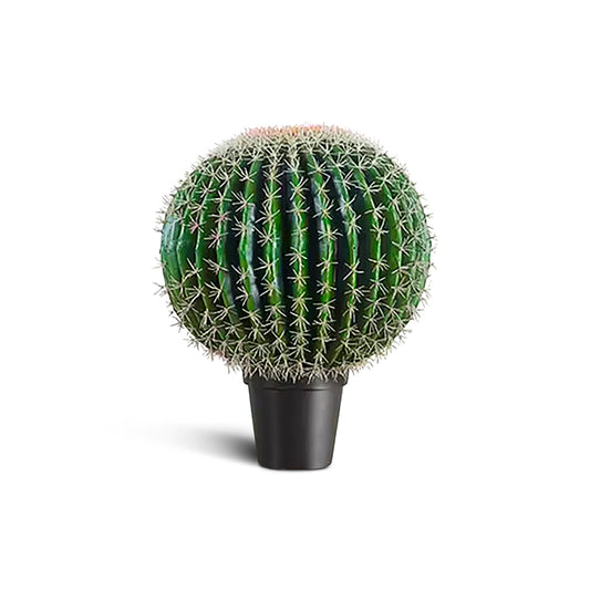 IvoQ Kunst Cactus 55 cm-IvoQ