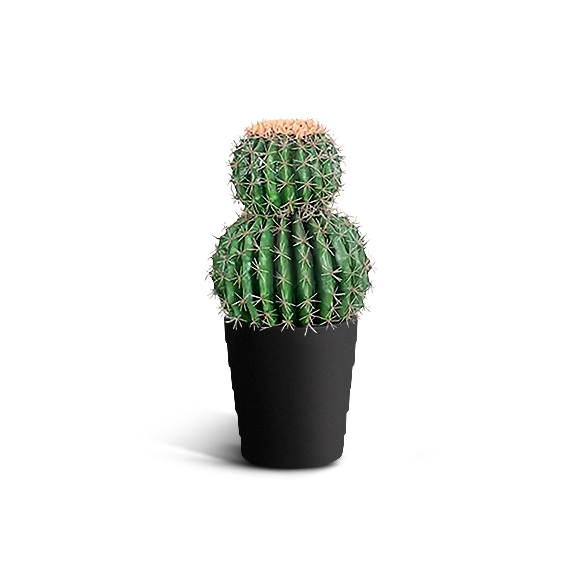IvoQ Kunst Cactus 50 cm-IvoQ