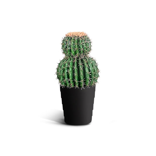 IvoQ Kunst Cactus 50 cm-IvoQ