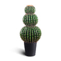 IvoQ Kunst Cactus XL 85 cm-IvoQ