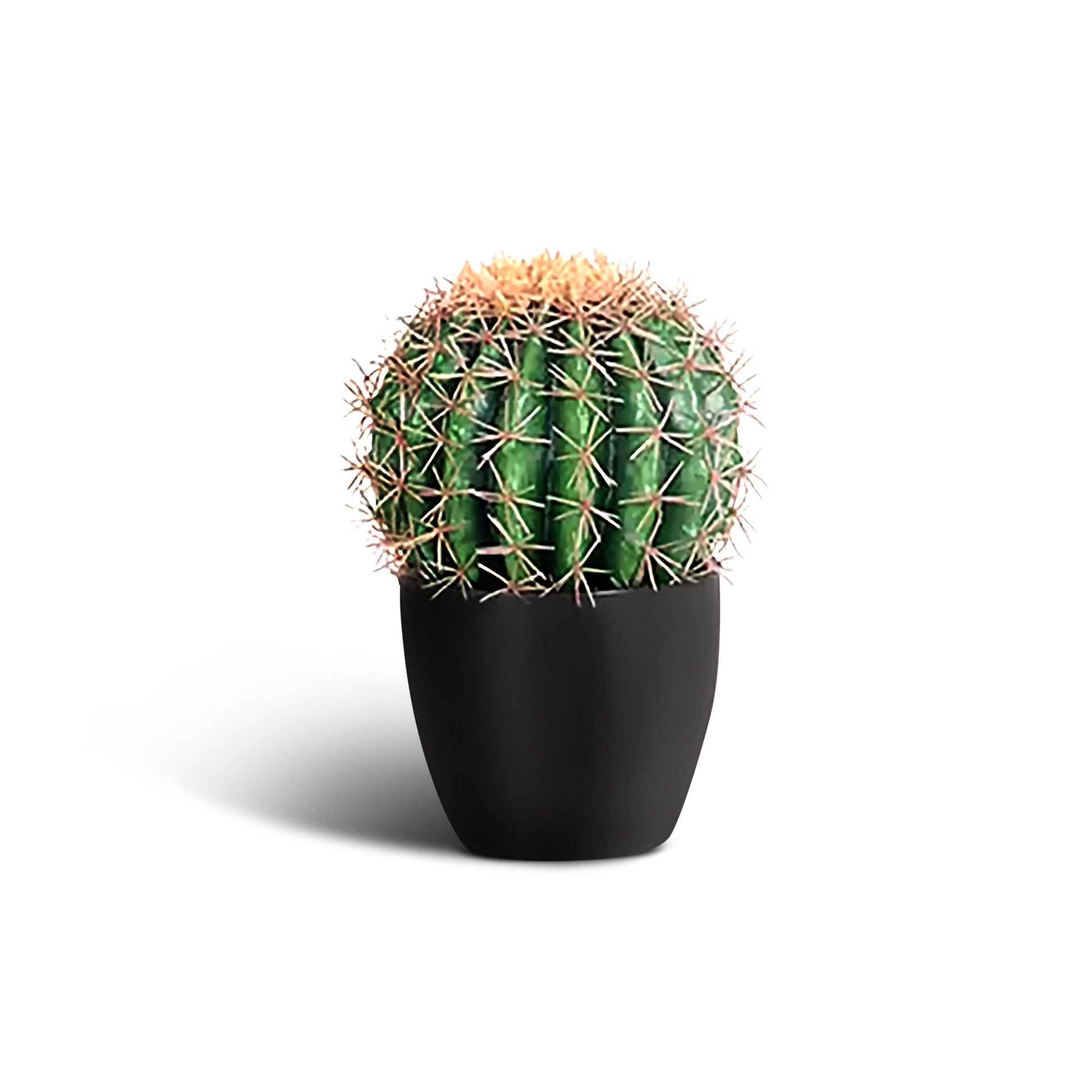 IvoQ Kunst Cactus 25 cm-IvoQ