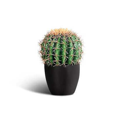 IvoQ Kunst Cactus 25 cm-IvoQ